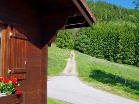 Chalet familial à La Bresse, proche randonnées, WIFI, animaux admis - Photo 21