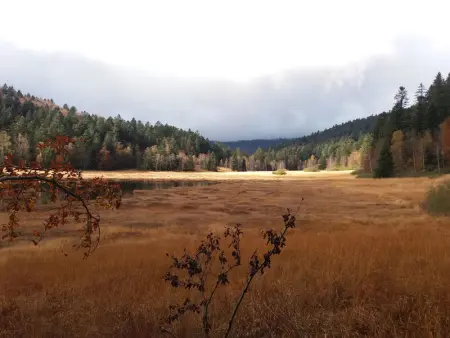 Chalet familial à La Bresse, proche randonnées, WIFI, animaux admis - Photo 24