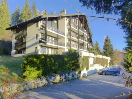 Les Essampilles 25, Appartement 4 personnes à Crans Montana - Photo 23