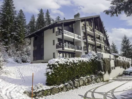 Les Essampilles 25, Appartement 4 personnes à Crans Montana - Photo 24