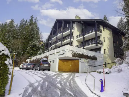 Les Essampilles 25, Appartement 4 personnes à Crans Montana - Photo 25