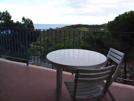 Appartement 2 pièces climatisé avec terrasse - Banyuls-sur-Mer - Photo 1