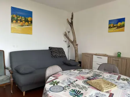 Appartement 2 pièces climatisé avec terrasse - Banyuls-sur-Mer - Photo 2