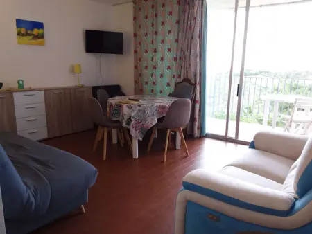 Appartement 2 pièces climatisé avec terrasse - Banyuls-sur-Mer - Photo 11