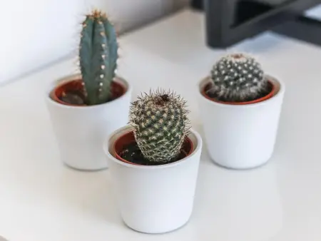 Superbe T1 à Lisbonne avec cuisine équipée, TV câblée, proche du centre et Campo de Ourique - Photo 16