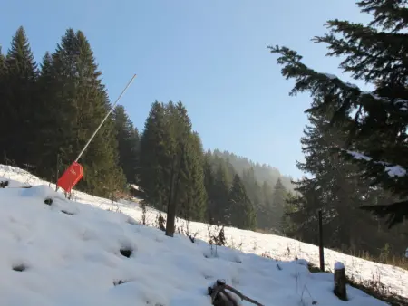 Athena 6, Chalet 3 personnes à Villars - Photo 19