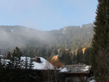 Athena 6, Chalet 3 personnes à Villars - Photo 20