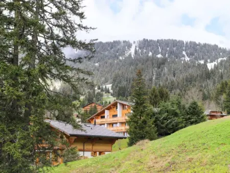 Athena 6, Chalet 3 personnes à Villars - Photo 22