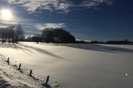 La Ferm'Anne, Maison 14 personnes à Verviers - Photo 37