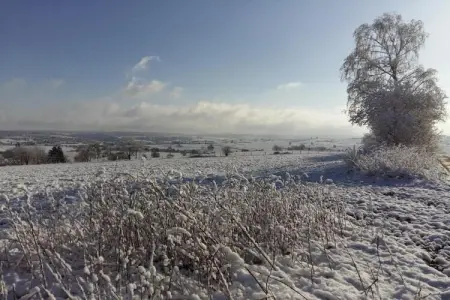 La Ferm'Anne, Maison 14 personnes à Verviers - Photo 39
