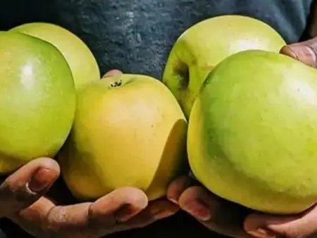 Maison calme avec piscine privée, jardin, barbecue et bureau – Costa Brava - Photo 29