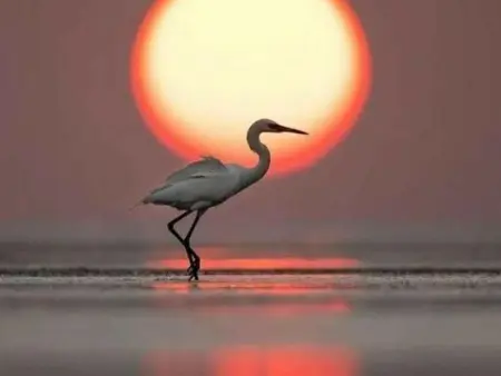 Maison calme avec piscine privée, jardin, barbecue et bureau – Costa Brava - Photo 32