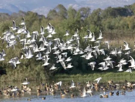 Maison calme avec piscine privée, jardin, barbecue et bureau – Costa Brava - Photo 33