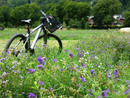 Maison calme avec piscine privée, jardin, barbecue et bureau – Costa Brava - Photo 35