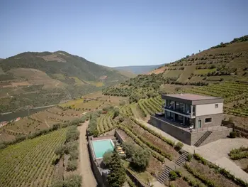 Villa in Folgosa,Feel Discovery Alvims Douro 971357 N°857826