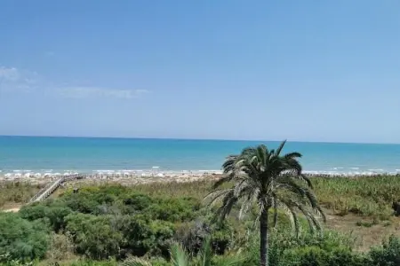 Villa Cuidad Quesada, Maison 6 personnes à Ciudad Quesada - Photo 36