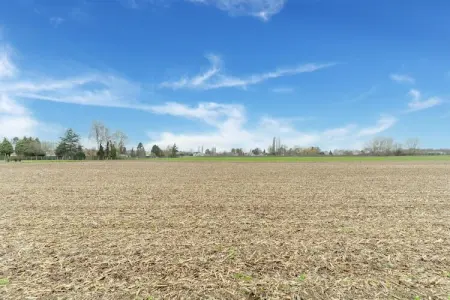 Leenhaag, Maison 4 personnes à Zoutleeuw - Photo 33