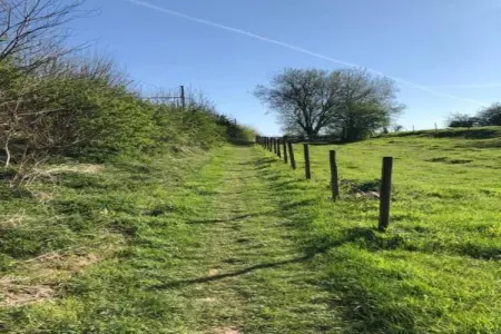 Leenhaag, Maison 4 personnes à Zoutleeuw - Photo 35