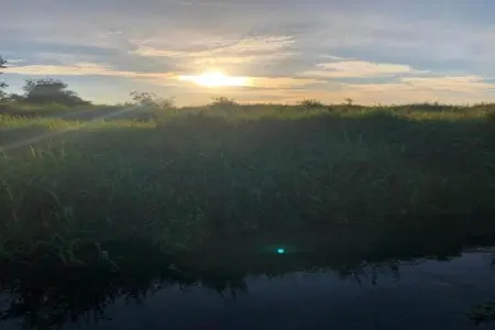 Leenhaag, Maison 4 personnes à Zoutleeuw - Photo 36