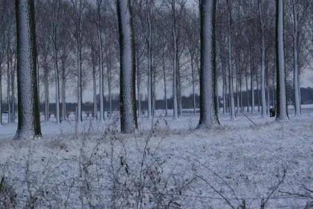 Leenhaag, Maison 4 personnes à Zoutleeuw - Photo 37