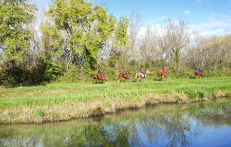 Location Maison 5 personnes à Aigues Mortes - Photo 20