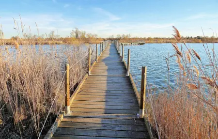 Location Maison 5 personnes à Aigues Mortes - Photo 21