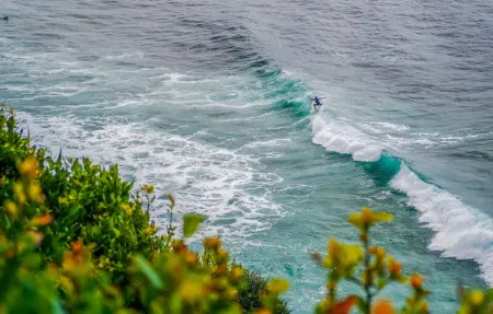 Location Maison 8 personnes à La Bastide Clairence - Photo 23