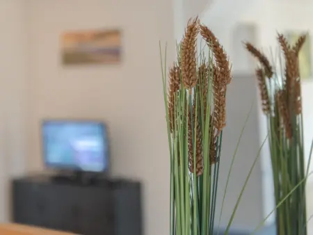 Vissershuis 2 with parking, Maison 6 personnes à De Haan - Photo 13