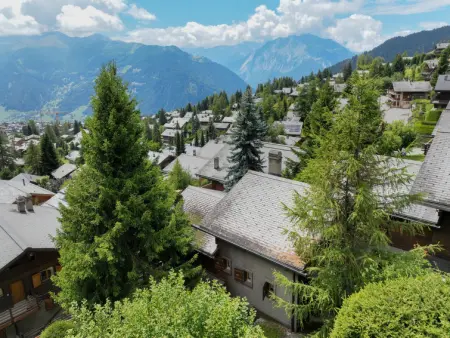 Sernisa Rez, Appartement 4 personnes à Verbier - Photo 19