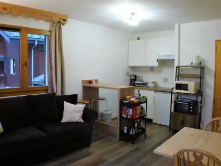 Charmant 2 pièces cabine avec parking et équipement modern à Samoëns - Photo 2