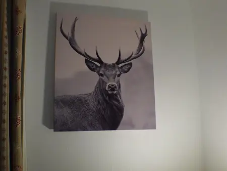 Charmant 2 pièces cabine avec parking et équipement modern à Samoëns - Photo 6