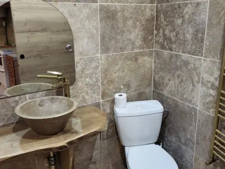 Gîte familial au cœur du parc de La Brenne avec étang privé, cheminée, Wi-Fi et animaux acceptés - Photo 10