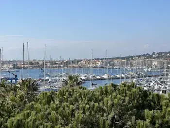 Appartement à Cap d'Agde, T2 avec ascenseur, lave-linge, parking et terrasse proche plage - L903053