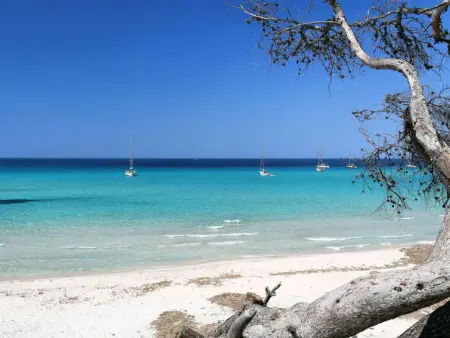 Suite une chambre, Appartement 4 personnes à Saint Florent - Photo 28