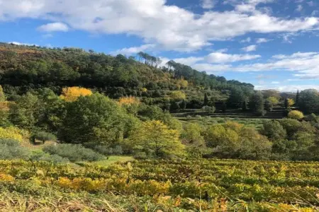 LA BOSCALIERE/ CHABROUD, Maison 7 personnes à LES ASSIONS - Photo 30