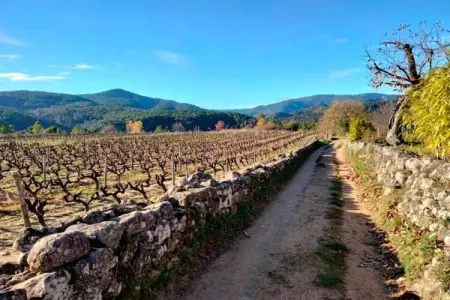 LA BOSCALIERE/ CHABROUD, Maison 7 personnes à LES ASSIONS - Photo 31