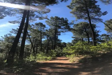 LA BOSCALIERE/ CHABROUD, Maison 7 personnes à LES ASSIONS - Photo 32