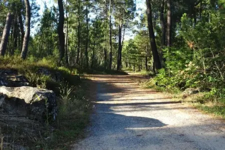 LA BOSCALIERE/ CHABROUD, Maison 7 personnes à LES ASSIONS - Photo 33