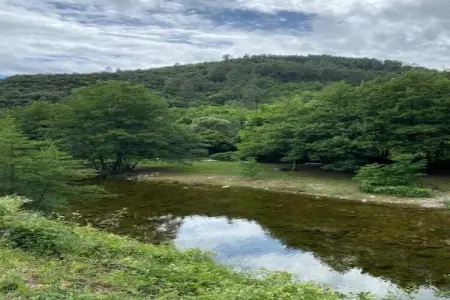 LA BOSCALIERE/ CHABROUD, Maison 7 personnes à LES ASSIONS - Photo 38