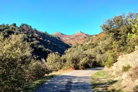 LA BOSCALIERE/ CHABROUD, Maison 7 personnes à LES ASSIONS - Photo 39