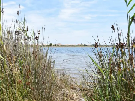 Maison Climatisée 3 Pièces avec Piscine, Terrasse et Proche Mer - Gruissan - Photo 7