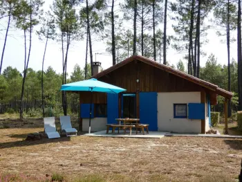 Gite à Luxey,Chalet en bois au cœur des Landes, cheminée, terrasse, jardin, animaux acceptés FR-1-360-171 N°858991