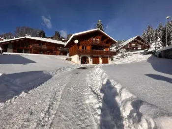 Chalet a Les Carroz d'Arâches,Chalet 4 chambres, 9 pers, pied des pistes, garage 2 voitures FR-1-572-279 N°859095