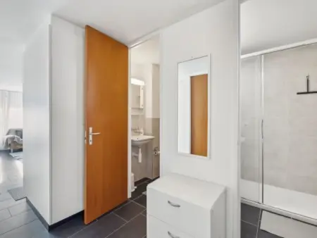 Nr.05 Haus Sursilvana, Appartement 4 personnes à Lenzerheide - Photo 4