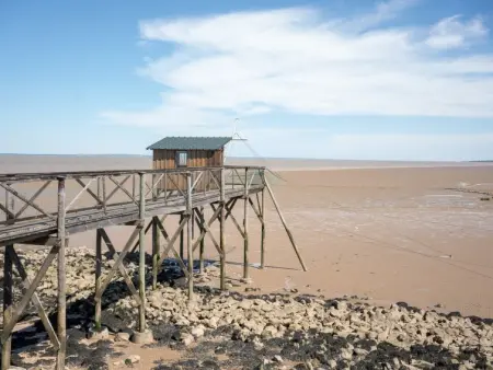 Les Alcyons T3, Appartement 8 personnes à Le Verdon sur Mer - Photo 24