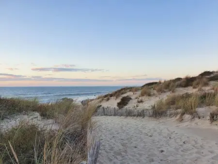 Les Alcyons T3, Appartement 8 personnes à Le Verdon sur Mer - Photo 28