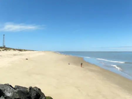 Les Alcyons T3, Appartement 8 personnes à Le Verdon sur Mer - Photo 30