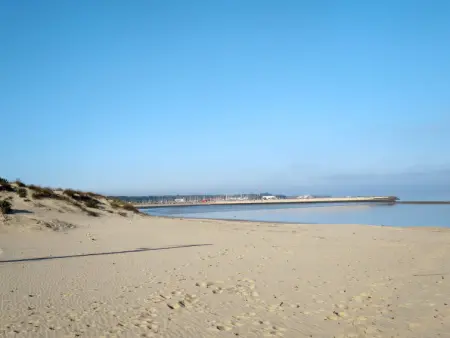 Les Alcyons T3, Appartement 8 personnes à Le Verdon sur Mer - Photo 32