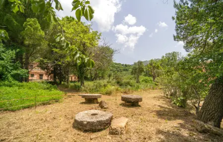 Salvia, Maison 9 personnes à San Giuseppe Jato - Photo 16