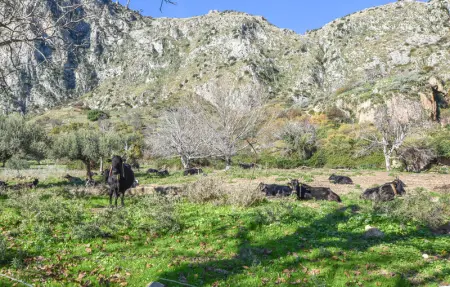 Salvia, Maison 9 personnes à San Giuseppe Jato - Photo 25
